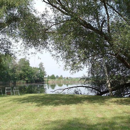 Ferienwohnungen Im Kunst.Haus Am See Doberlug-Kirchhain Eksteriør bilde