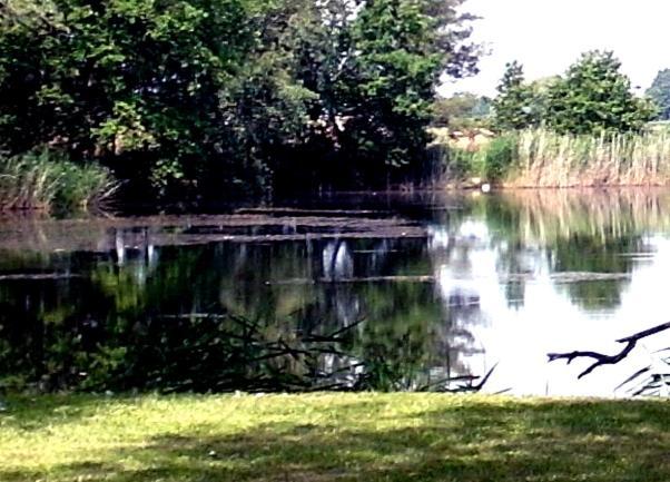 Ferienwohnungen Im Kunst.Haus Am See Doberlug-Kirchhain Eksteriør bilde