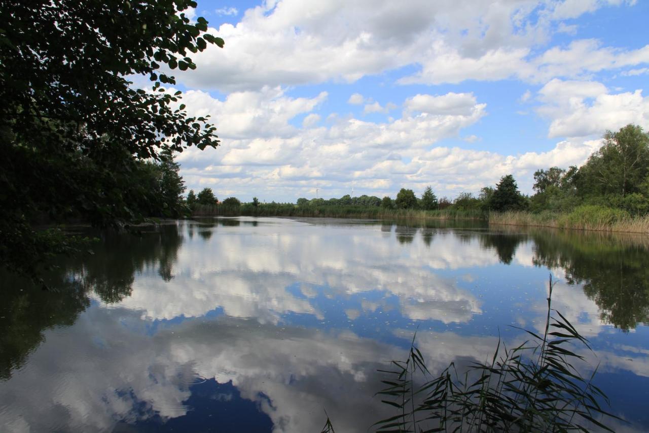 Ferienwohnungen Im Kunst.Haus Am See Doberlug-Kirchhain Eksteriør bilde