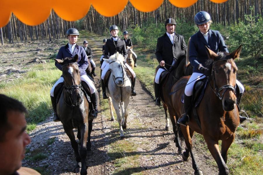 Ferienwohnungen Im Kunst.Haus Am See Doberlug-Kirchhain Eksteriør bilde